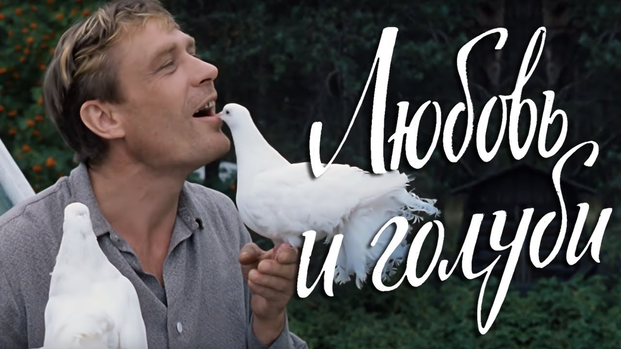 Отзыв на фильм Любовь и голуби (1984)