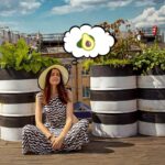 Новинка от Nivea для авокаднутых на всю голову 🤪🥑