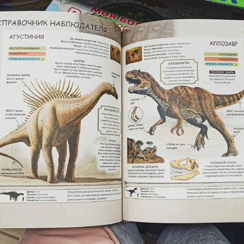 В ФИКСПРАЙС НАЙДЕНА КРУТАЯ ЭНЦИКЛОПЕДИЯ ДИНОЗАВРОВ 🦖🦕 Возможно, на этапе зарождения моей жизни я должна была стать мальчиком - иначе как объяснить мою любовь к динозаврам, машинками и поездам,...- 3
